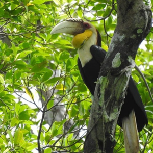 Classic Birding Tour 1