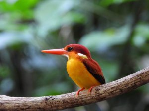 1755661987548 300x225