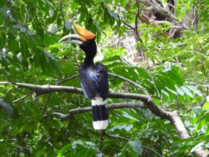 Classic Birding Tour 1757990722354 300x225