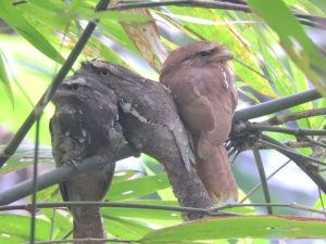 1757990722369 300x225