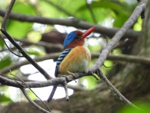 1757990796331 300x225