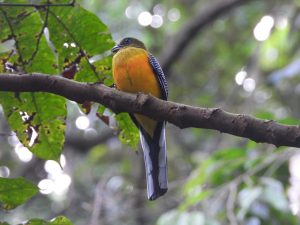 1758196289878 300x225