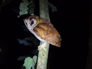 1759066736276 300x225