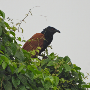 Desain Tanpa Judul 6