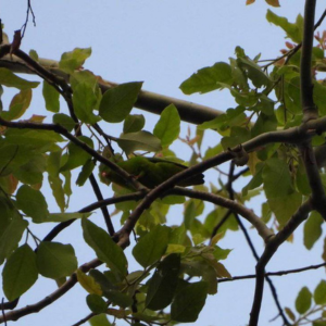 Desain Tanpa Judul 9